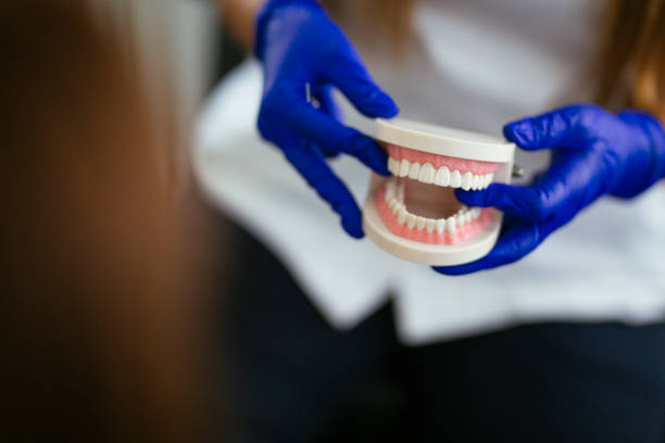 Best Preventive Dentistry  in Westfield, IN
